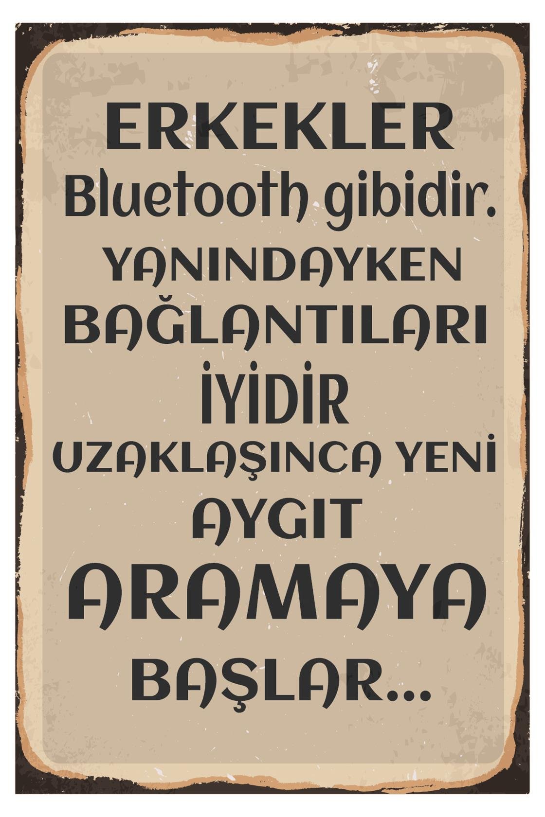 Erkekler Bluetooth Gibidir Çünkü Ahşap Poster
