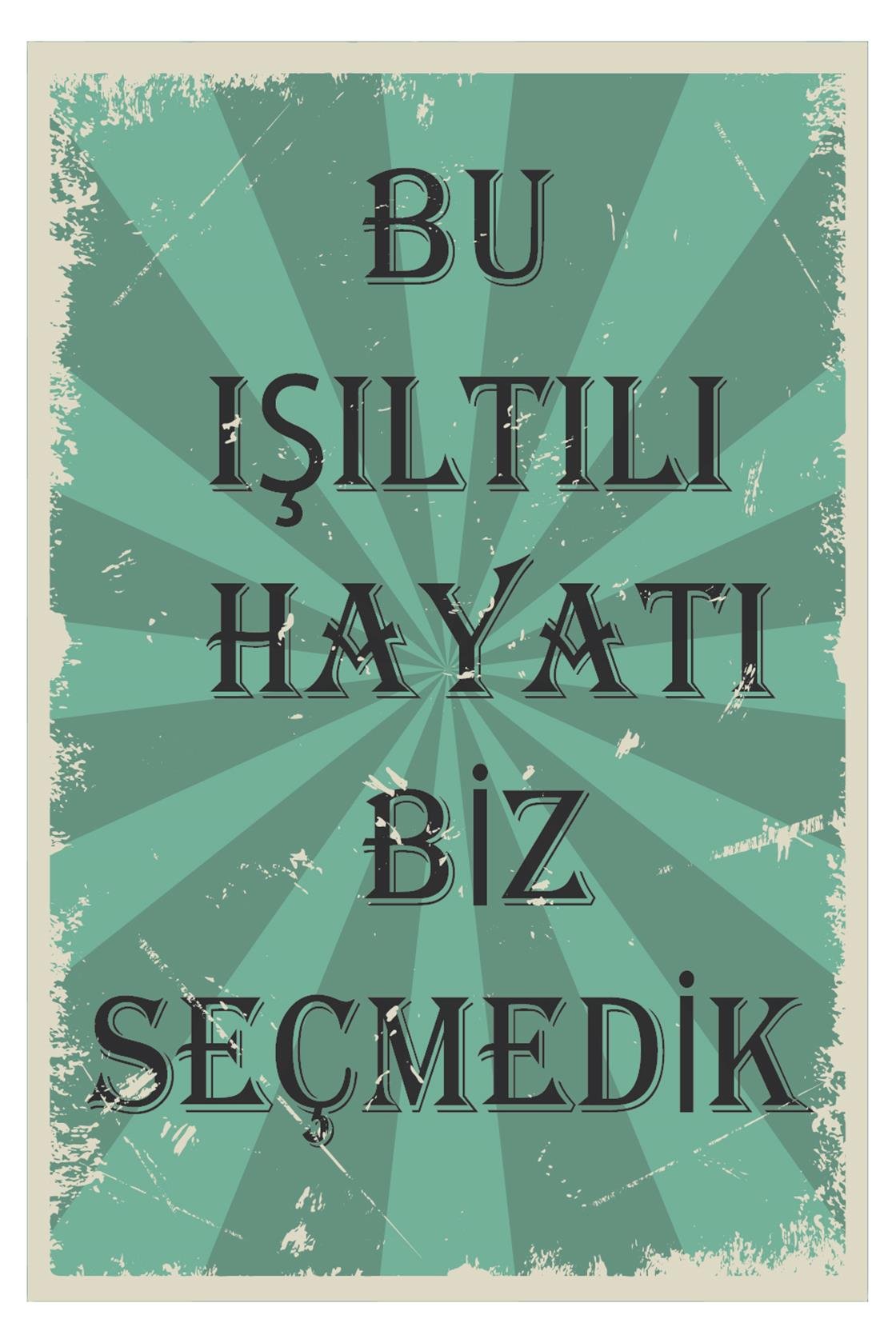 Bu Işıltılı Hayatı Biz Seçmedik Ahşap Poster