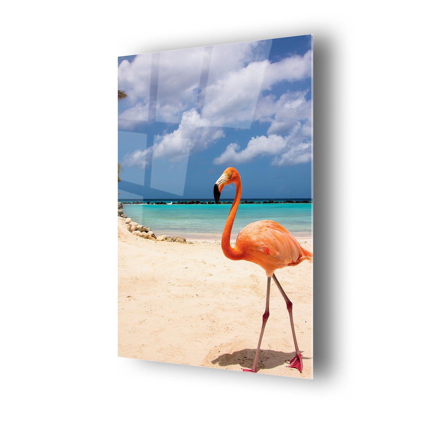 Flamingo Temalı Cam Tablo