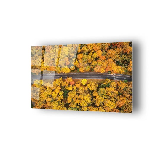 Kuşbakışı Görünümü Sonbahar Temalı Cam Tablo