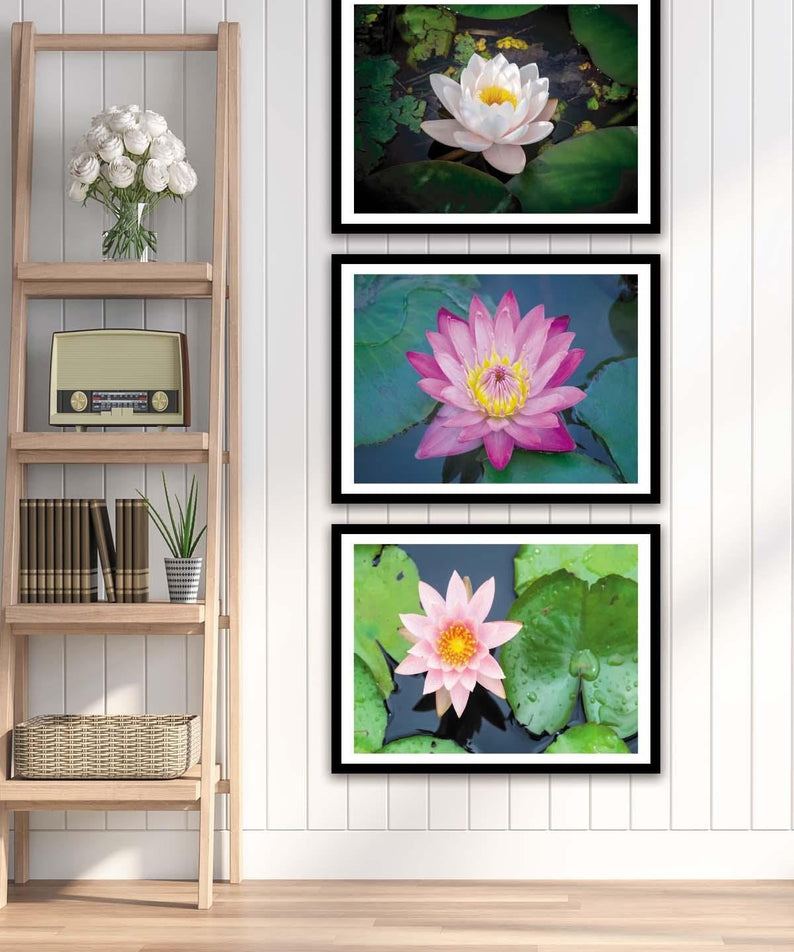 3 Parça Çiçek Temalı Siyah Çerçeve Görünümlü Tablo Seti