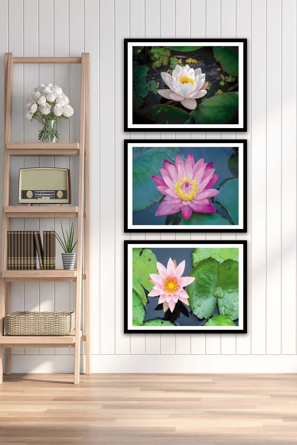 3 Parça Çiçek Temalı Siyah Çerçeve Görünümlü Tablo Seti