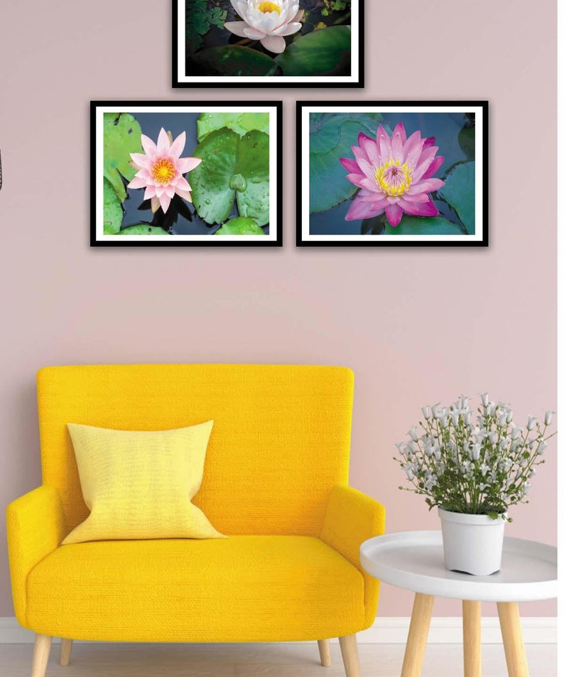 3 Parça Çiçek Temalı Siyah Çerçeve Görünümlü Tablo Seti