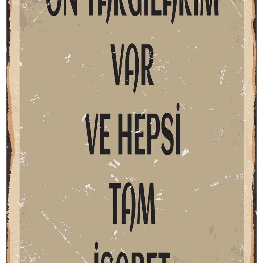 Ön Yargılarım Var Ve Hepsi Tam İsabet Ahşap Poster