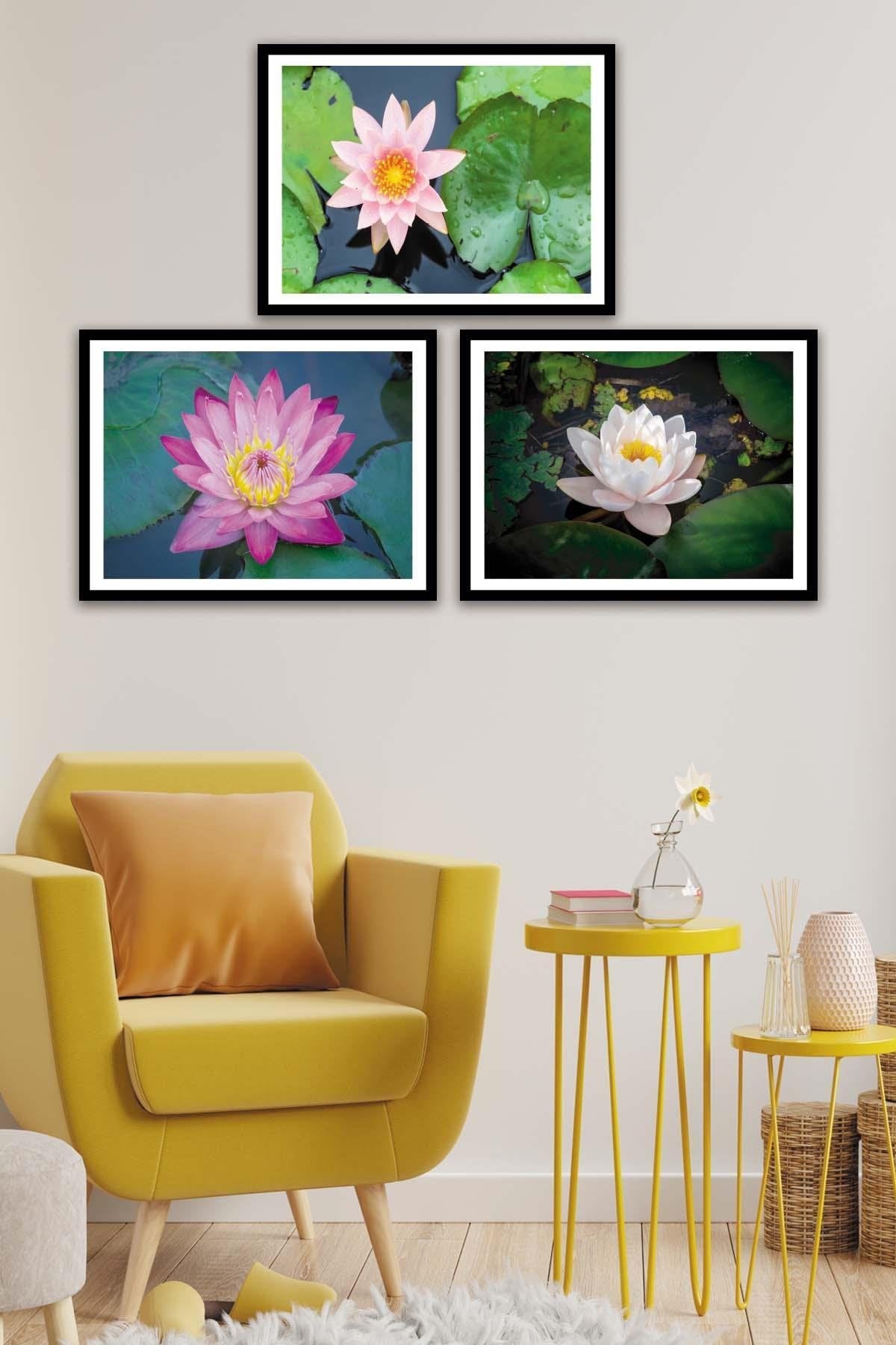 3 Parça Çiçek Temalı Siyah Çerçeve Görünümlü Tablo Seti