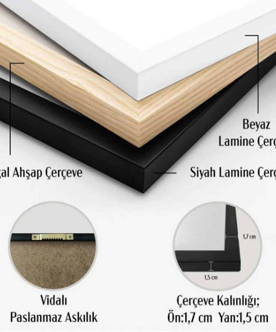 Modern Flora Woman Serisi Tek Parça Doğal Ahşap Çerçeveli Tablo