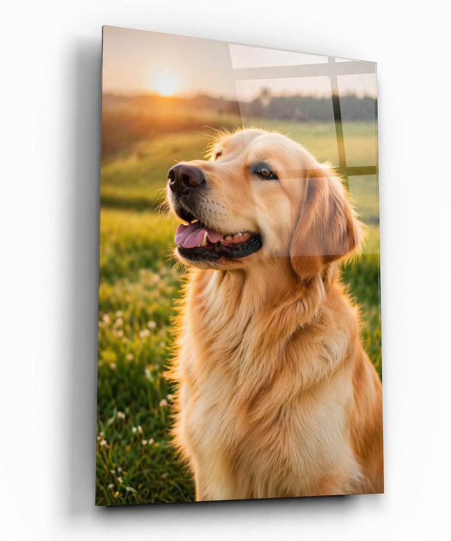 Kişiye Özel Cam Tablo – Fotoğraf Yükle & Tasarla