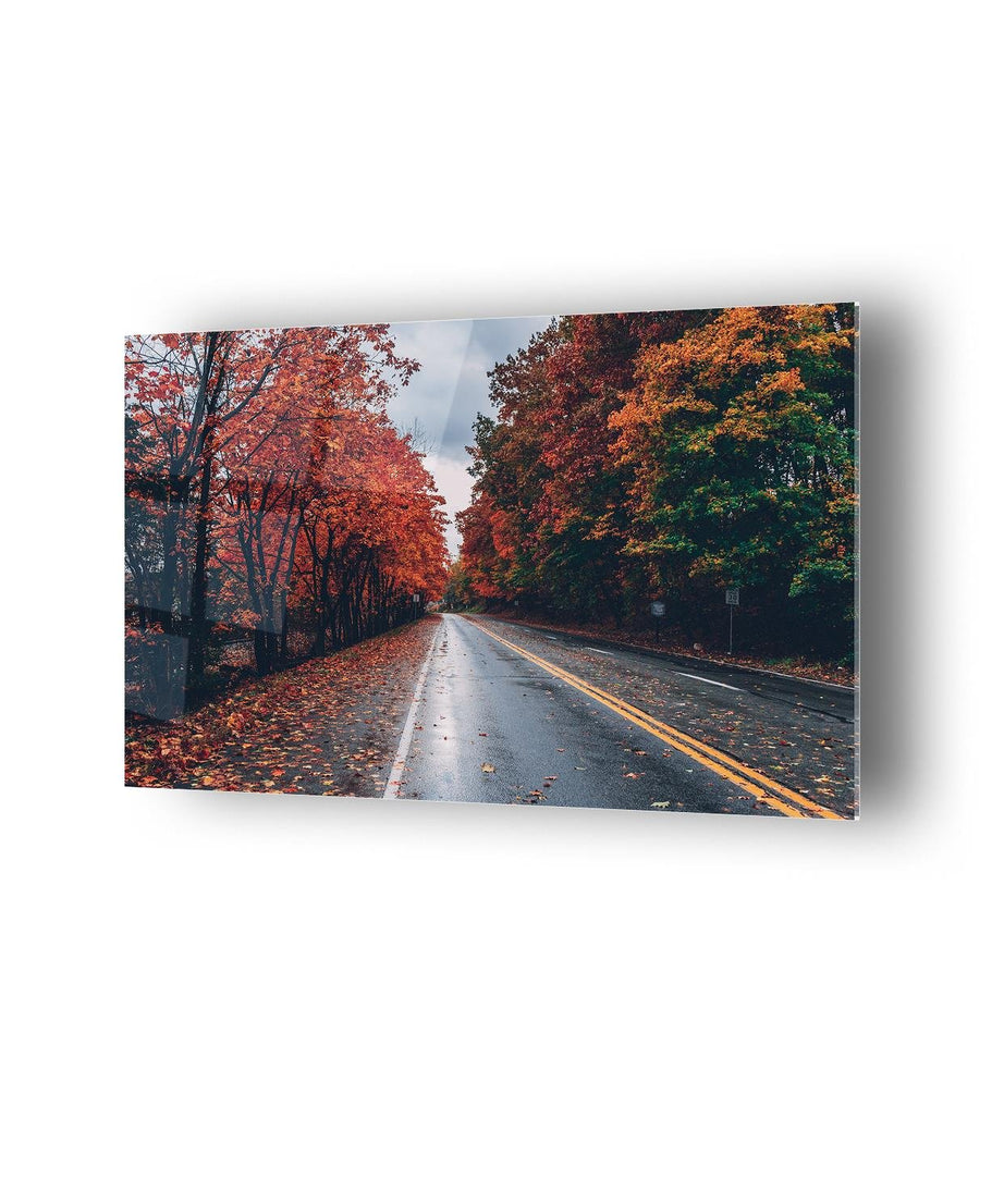 Kızıl Ağaçlı Yol Temalı Cam Tablo
