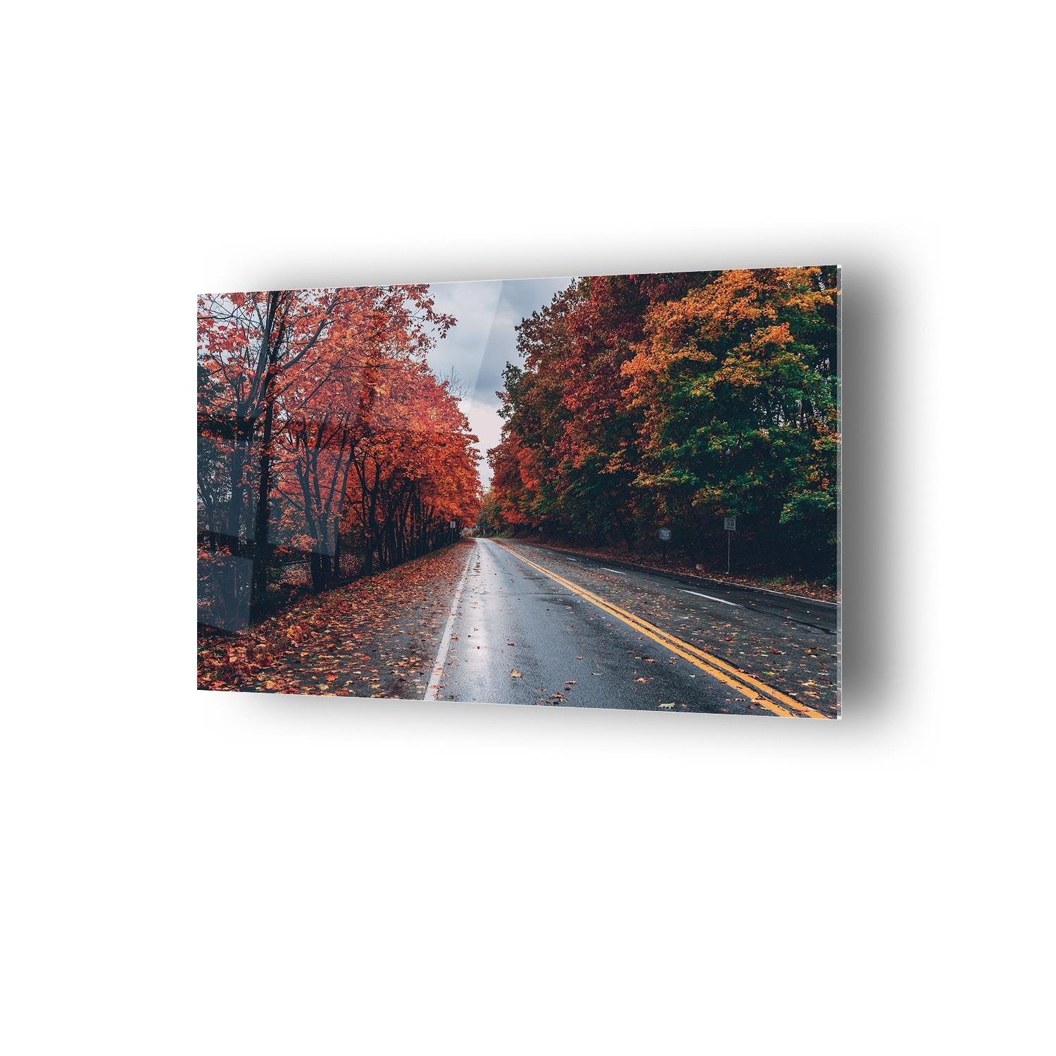 Kızıl Ağaçlı Yol Temalı Cam Tablo