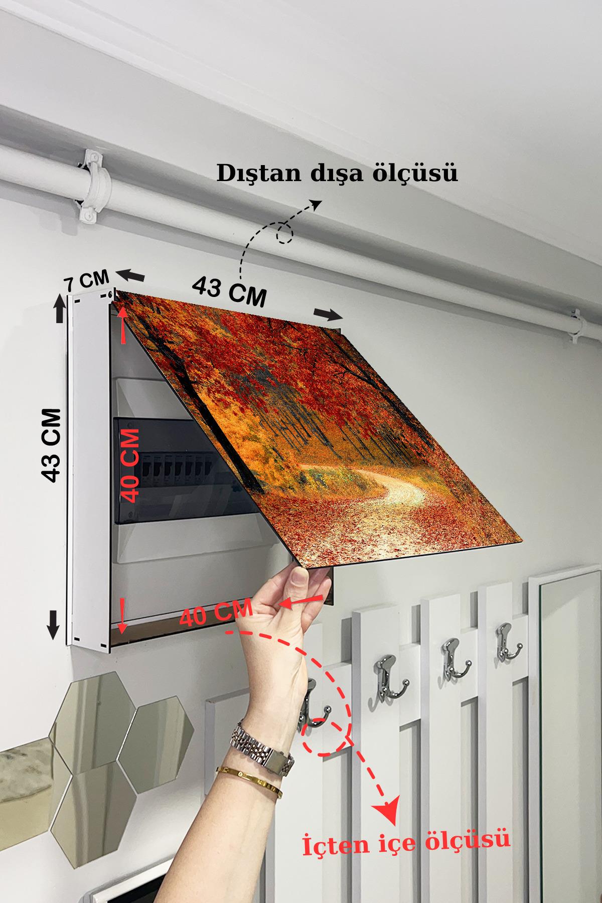 SİGORTA SAKLAMA KUTUSU AYNI ZAMANDA MANZARALI TABLOLAR 43X43 CM