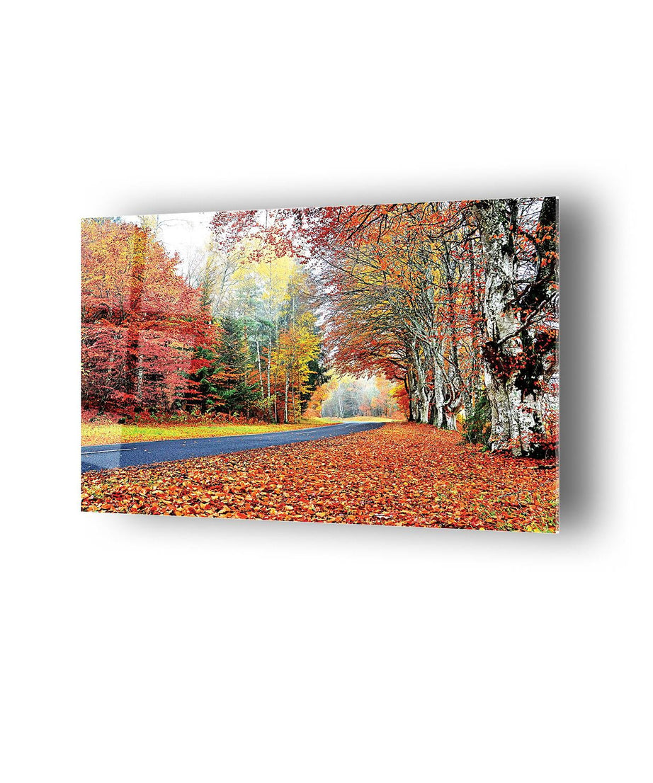 Sonbahar Yol Temalı Cam Tablo